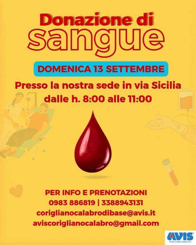 avis13settembre