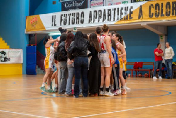 basketcz1